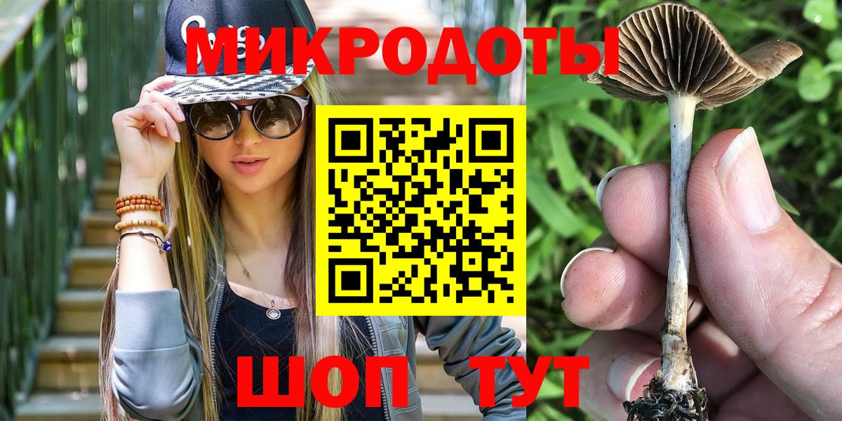 Галлюциногенные грибы мухоморы  Вход с VPN  Элиста 
